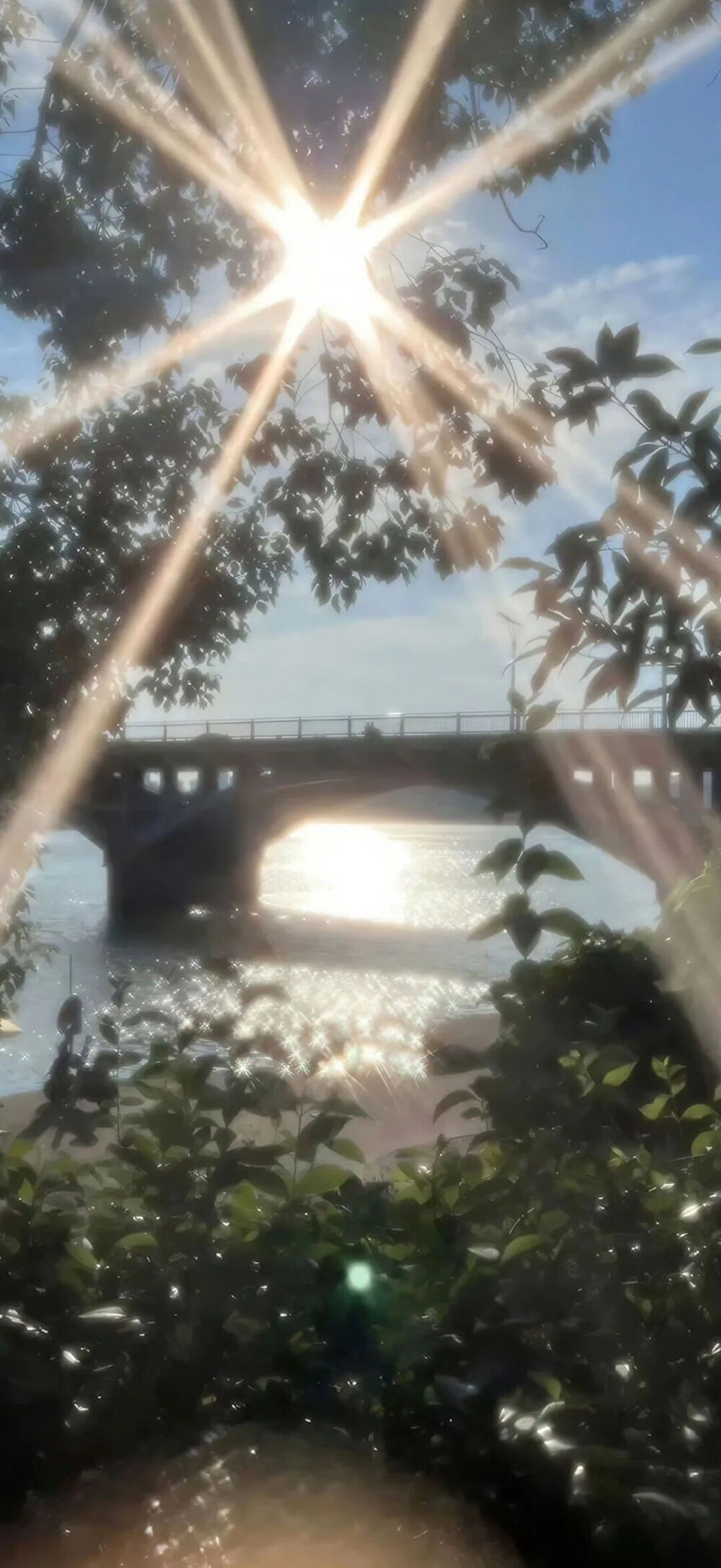 你想结束的是痛苦而不是生命对吗