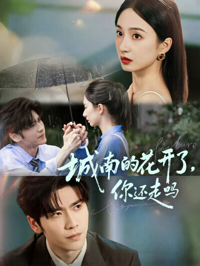 《城南的花开了，你还走吗》