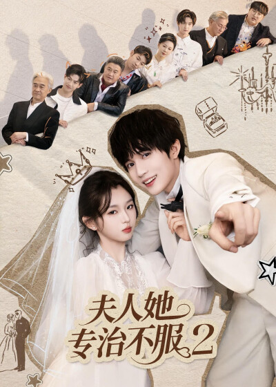 《夫人她专治不服2》