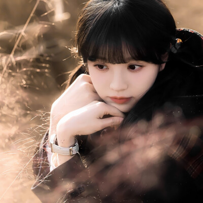 1955、Damp：邮票遗落在铁塔下枯叶堆里…