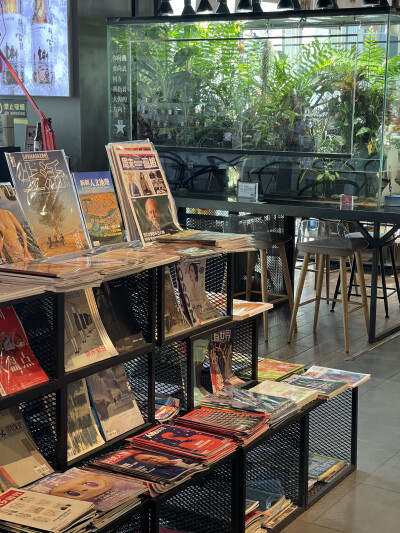 五年后再次左边右边