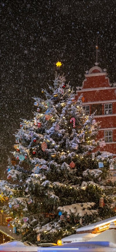 粉嫩的冬日壁纸