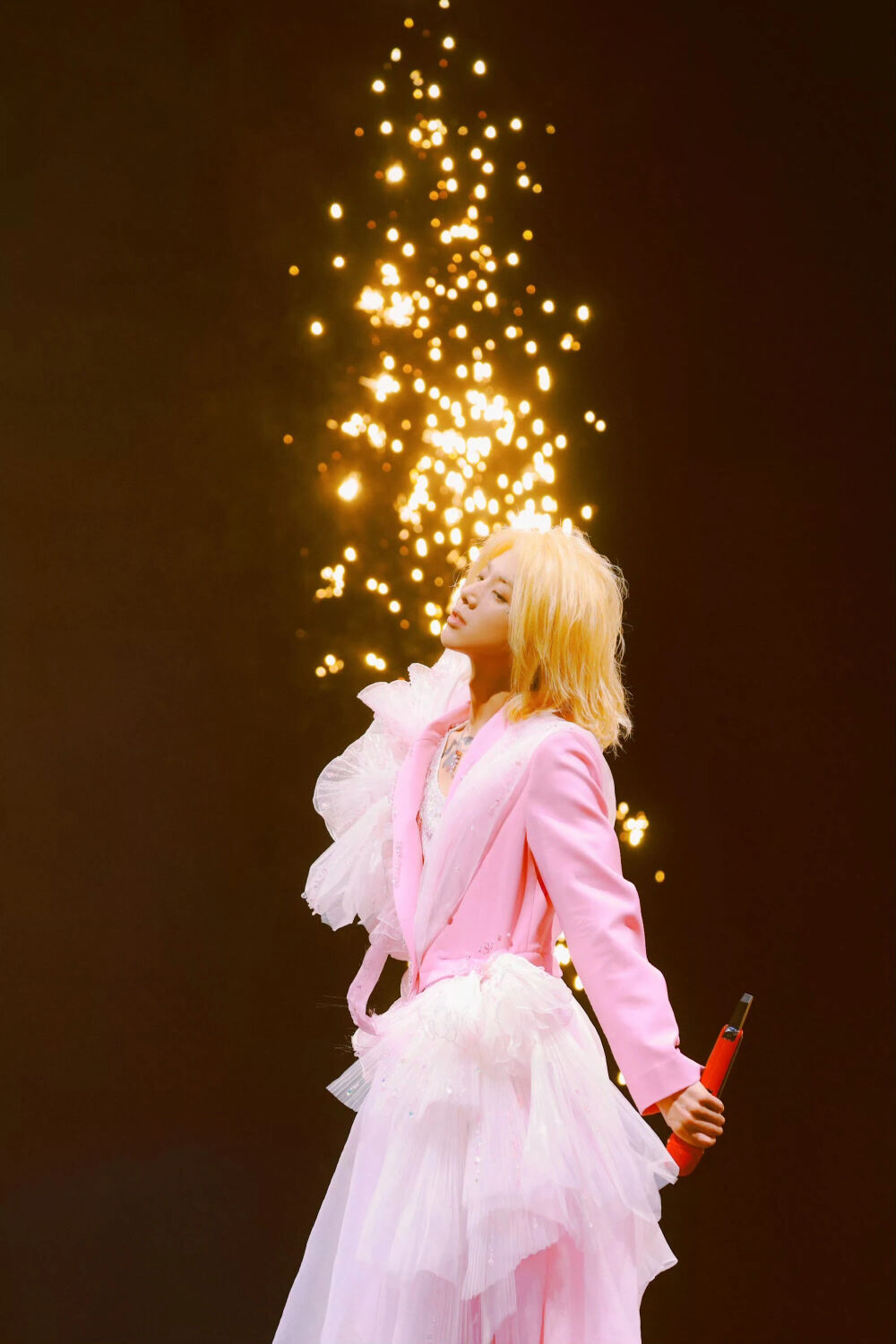 代表幸福的成语是“晨宇”
夜色中的旅程延展开来，如同起伏的韵律。
偶尔的徘徊亦是成长的刻度，每一份真挚的表达都直面内心，每一次突破都迎来更勇敢的自我。
我们如同追寻着内心的向导，最终在歌声的交汇处，发现那个焕然一新的自己。
四年之后，幸福的符号和记忆不断在书写，但如果需要定义，我希望是你的名字！
