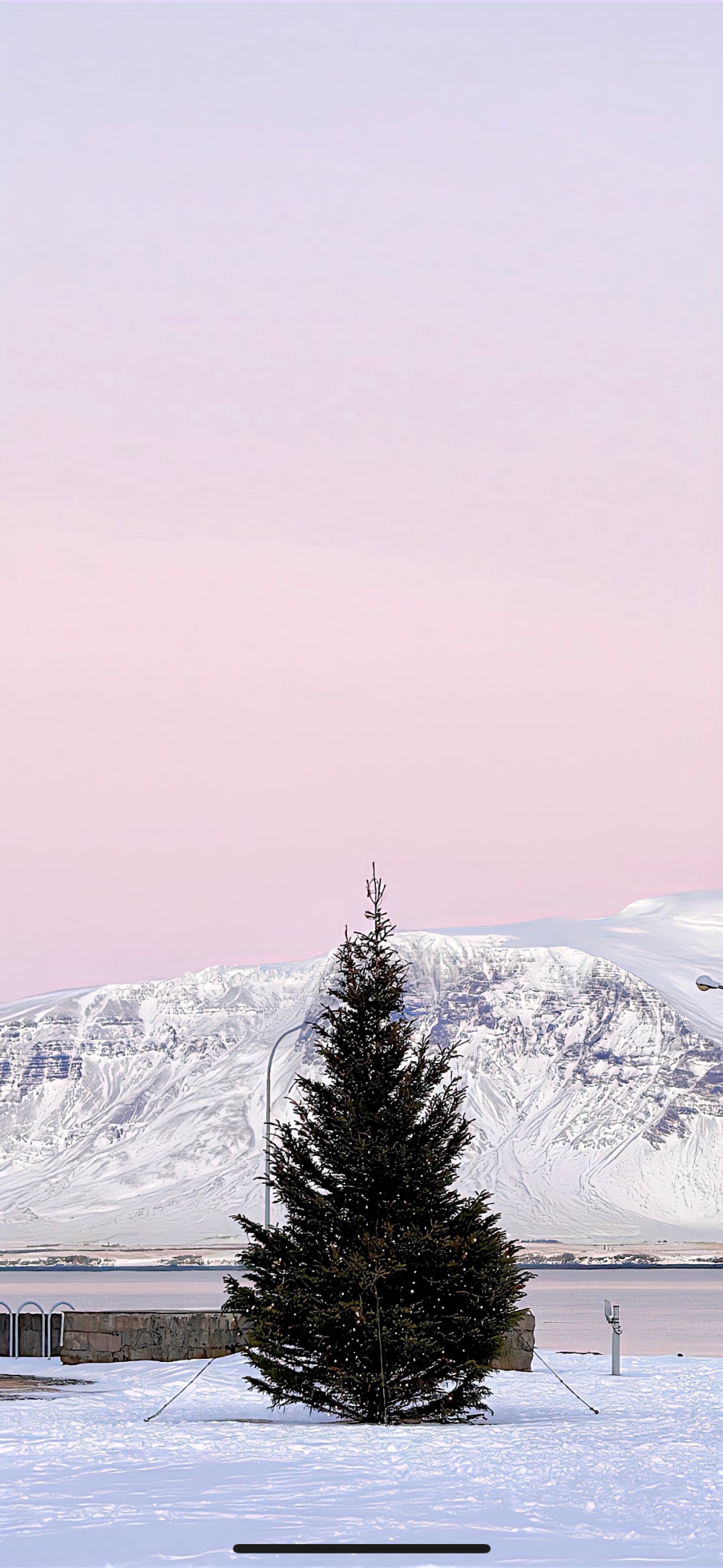 粉嫩的冬日壁纸