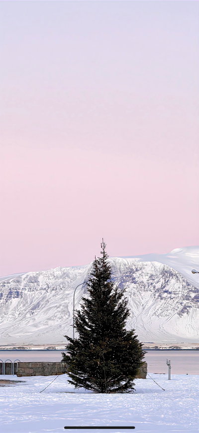 粉嫩的冬日壁纸