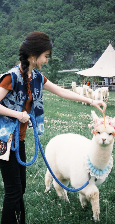 毛晓彤《乌蒙深处》衮月亮