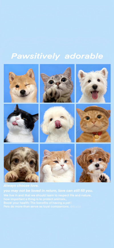 卡通壁纸·图源微博