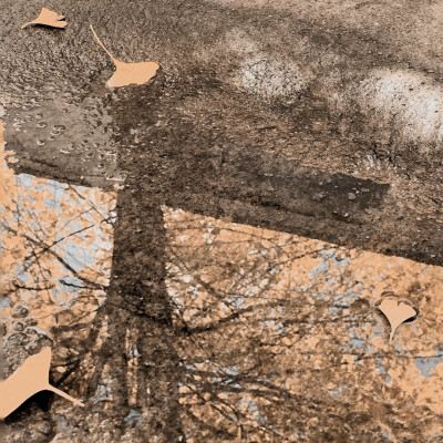 1955、Damp：邮票遗落在铁塔下枯叶堆里…