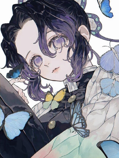 【蝴蝶忍】
x：aonno