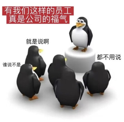表情包