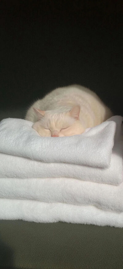 我是不会放弃收集这种图片的