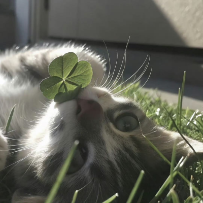 ‎#ليس قوة خارقة