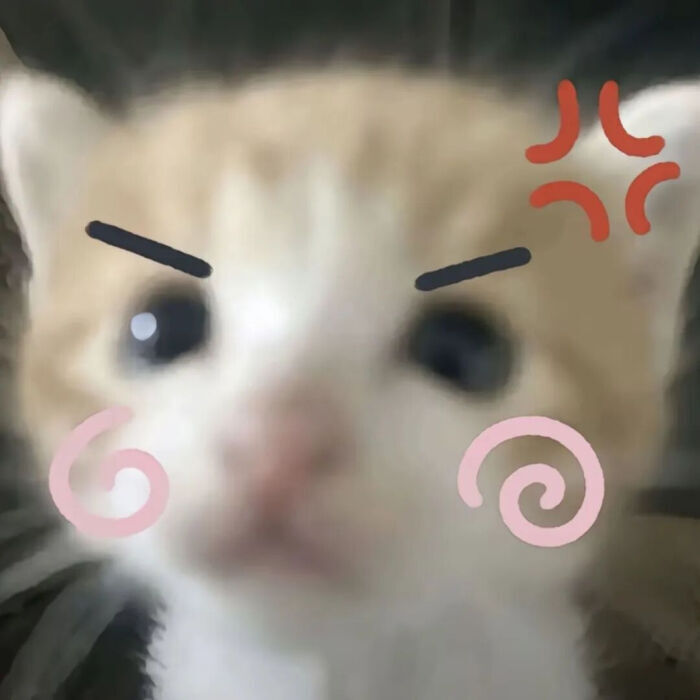 可爱情侣头像
