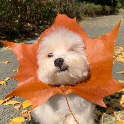 ‎#ليس قوة خارقة