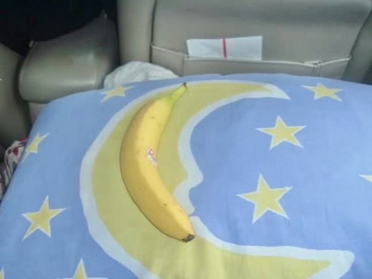 행운이 나를 따르길