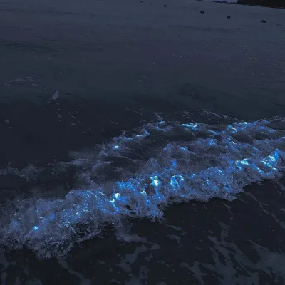 疯了的!!这是我的闺闺勿碰勿动勿扰动她等于动我!!