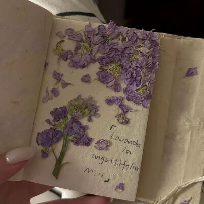 ‎#ليس قوة خارقة