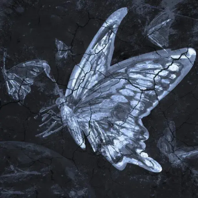 疯了的!!这是我的闺闺勿碰勿动勿扰动她等于动我!!