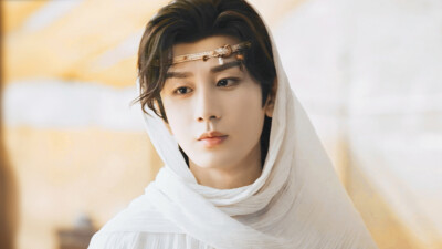 《天地剑心》王权富贵（成毅饰）