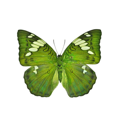 ‎#ليس قوة خارقة