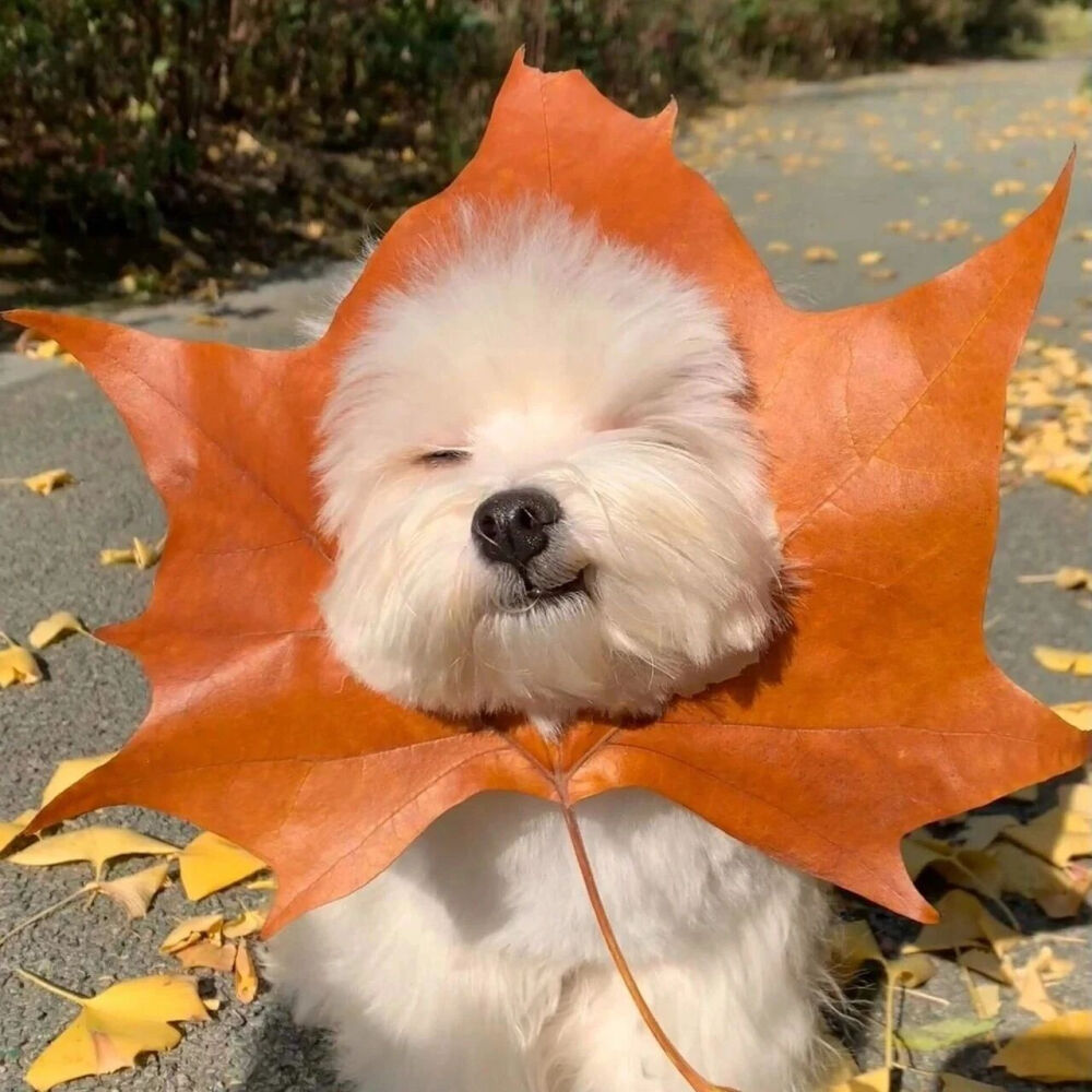 ‎#ليس قوة خارقة