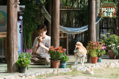 《向往的生活》第八季