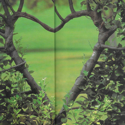 ‎#ليس قوة خارقة