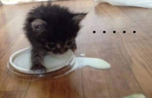 행운이 나를 따르길