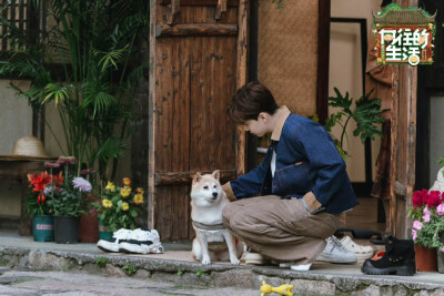 《向往的生活》第八季