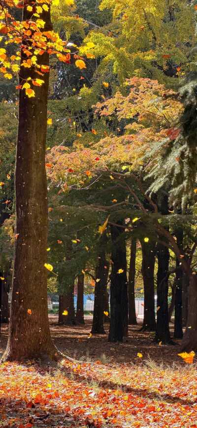 ‎#ليس قوة خارقة