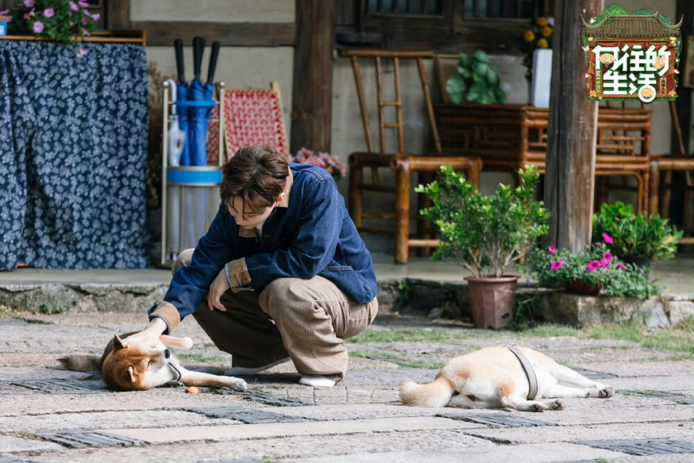 《向往的生活》第八季