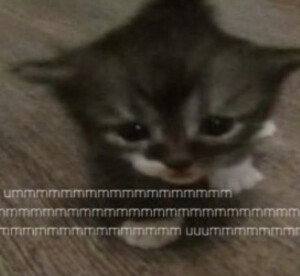 행운이 나를 따르길