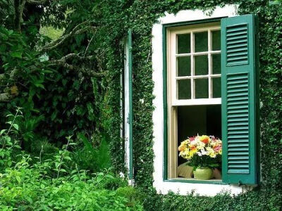 有个院子，静时读书，闲时喝茶！