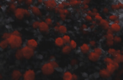 想念就见面。
iconic_kmj