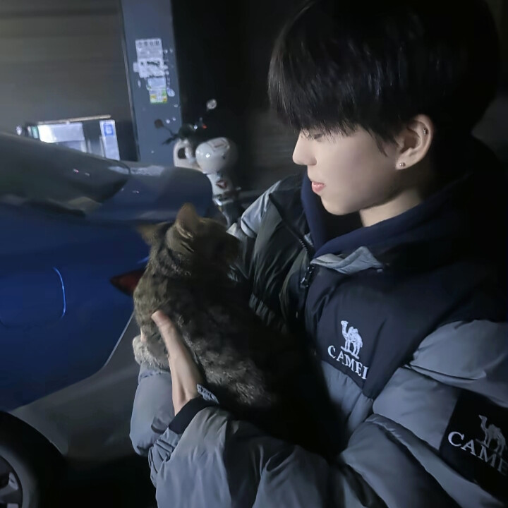 想说的话欲言又止 你的世界少了我好像也没关系