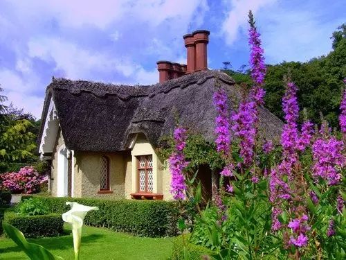 有个院子，静时读书，闲时喝茶！