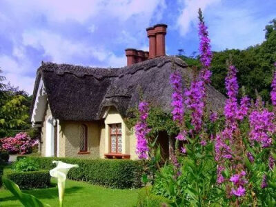 有个院子，静时读书，闲时喝茶！