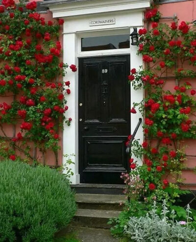 有个院子，静时读书，闲时喝茶！