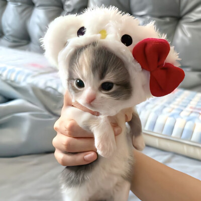 图源ks：偷喝汽水