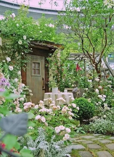 有个院子，静时读书，闲时喝茶！