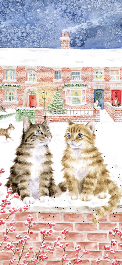 圣诞快乐
图片来自网络，侵删