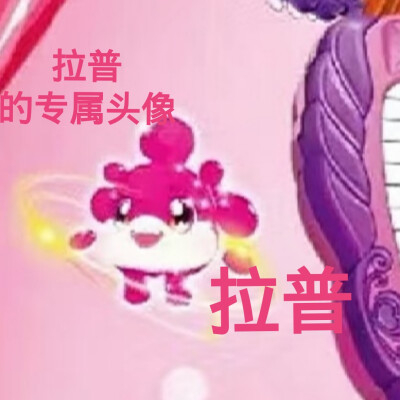 拉普的美图来啦