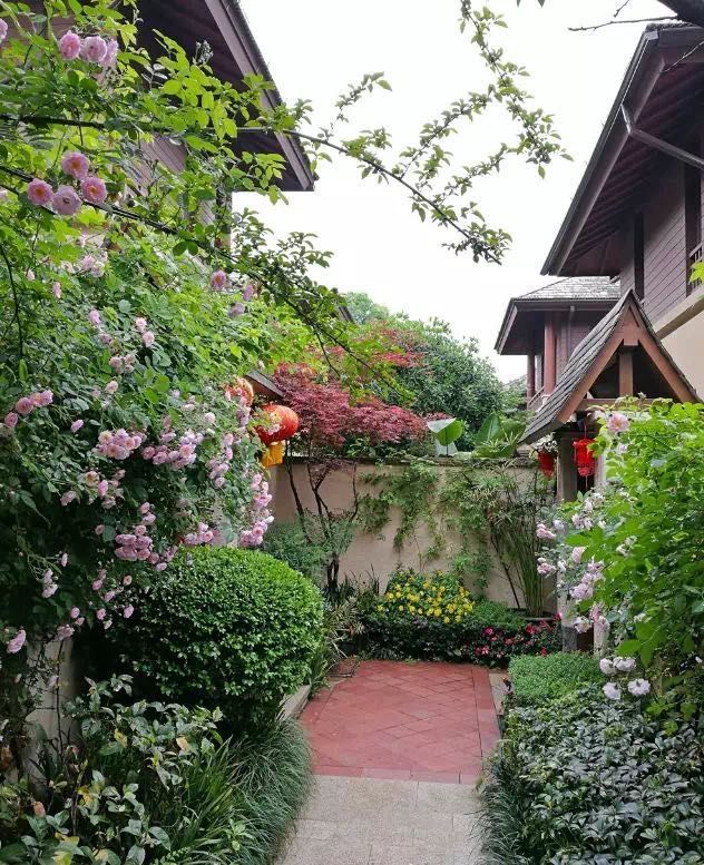 有个院子，静时读书，闲时喝茶！