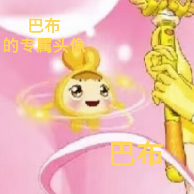 巴布的美图来啦