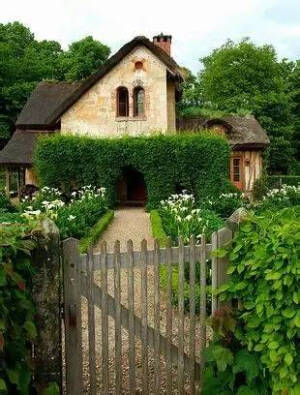 有个院子，静时读书，闲时喝茶！