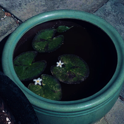 日常
幕着雾与雨
