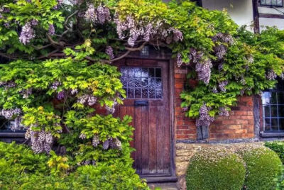 有个院子，静时读书，闲时喝茶！