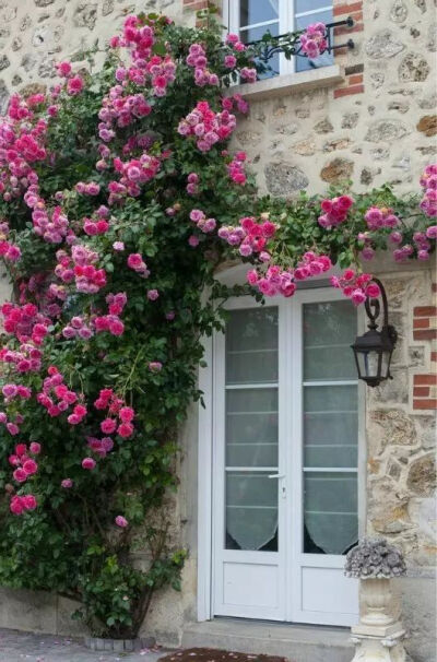 有个院子，静时读书，闲时喝茶！