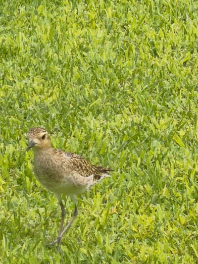 251128
金泰亨更新ins