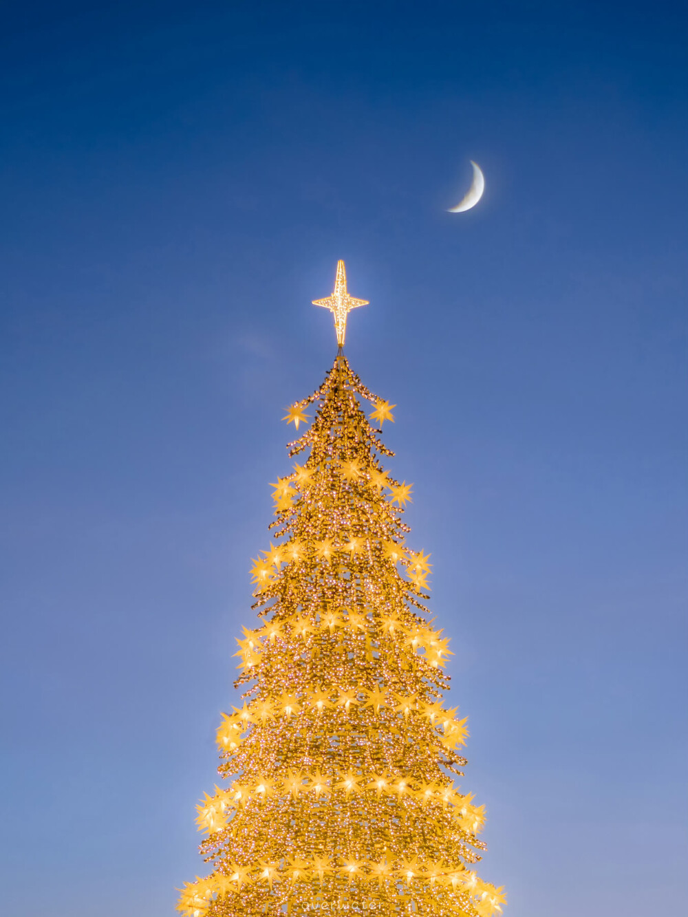 落满星星的圣诞树 |
所有迷路的星星，都掉在了树上。
by.@overwater